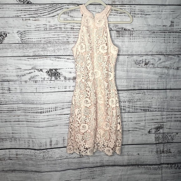 Lulus Love Poem Blush Pink Lace Mini Dress Sm - Picture 4 of 4